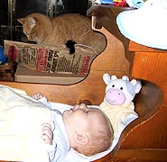 Pumpkin and Samuel check each other out