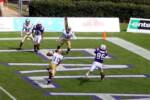 Furman scores