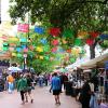 El Mercardo, The Market