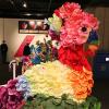 Fiesta hat in Institute of Texas Cultures