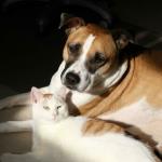 Molly and Celeste enjoy the peace and goodwill of Christmas