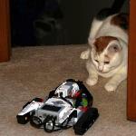Celeste encounters Samuel's EV3 Mindstorm robot for the first time