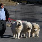 Edward with Max, Joey, and Lacy at King College, January 1, 2014