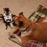 Molly with EV3 robot