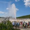 Bee Hive geyser erupts moments after Old Faithful