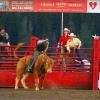 Bull rider at West Yellowstone Rodeo