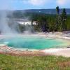 Emerald Spring