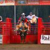 Bull riding at West Yellowstone Rodeo