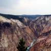 View of Yellowstone River Canyon and Upper Falls (near horizon) from Grand View on North Rim of canyon