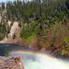 Brink of Upper Falls of Yellowstone River with rainbow