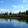 Burned wreck of the E.C. Waters, a tour boat on Yellowstone Lake in early 1900's