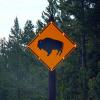 Solar powered bison warning sign on West Yellowstone-Madison Road