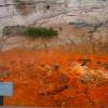 Bacteria mat at hot spring