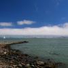 Sausalito Harbor and San Francisco Bay