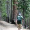 Edgar hiking in Mariposa Grove, Yosemite