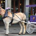 French Quarter mass transit