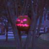 Jack-o'lantern and broom in tree
