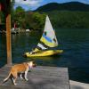 Molly checks on sailboat progress