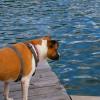 Molly at Lake Burton