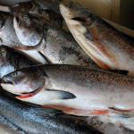 Fish at Pike Place Market, July 6, 2014
