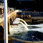 Ballard Locks spillway. July 6, 2014