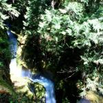 Waterfall in gardens at Seattle City Light power plant at Newhalem in North Cascades National Park, July 7, 2014