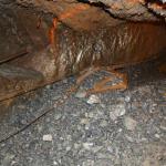 Scraper in Sierra Silver Mine, Wallace, Idaho, July 8, 2014