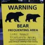 Bears!, July 9, 2014