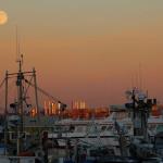 Sunset and moonrise at Anacortes Harbor, July 11, 2014