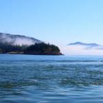 Roll of fog across opening in Puget Sound, July 12, 2014