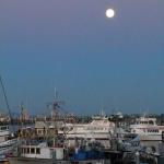 Anacortes Harbor, July 11, 2014