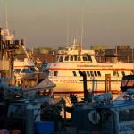 Our whale boat, Island Explorer 4, at Anacortes dock, July 11, 2014
