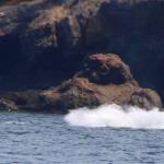 Touchdown, July 12, 2014