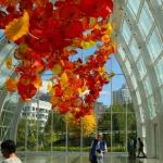 Chihuly