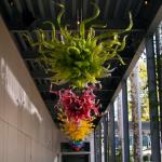 Chihuly