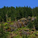Cascades