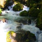 Cascades